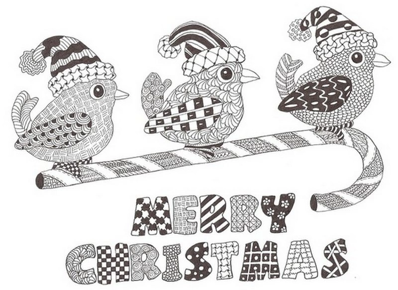 Coloring book antistress birds wish merry christmas